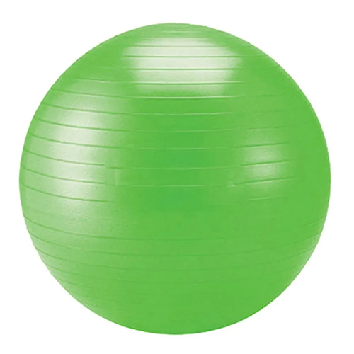 Мяч SCHILDKROT SK FITNESS GYMNASTIC BALL 55 cm